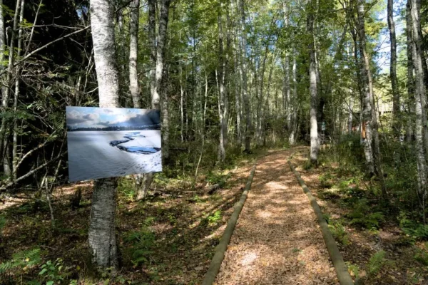 Wystawa fotografii przyrodniczej Mateusza Borowczyka w Urzędzie Gminy Przemęt