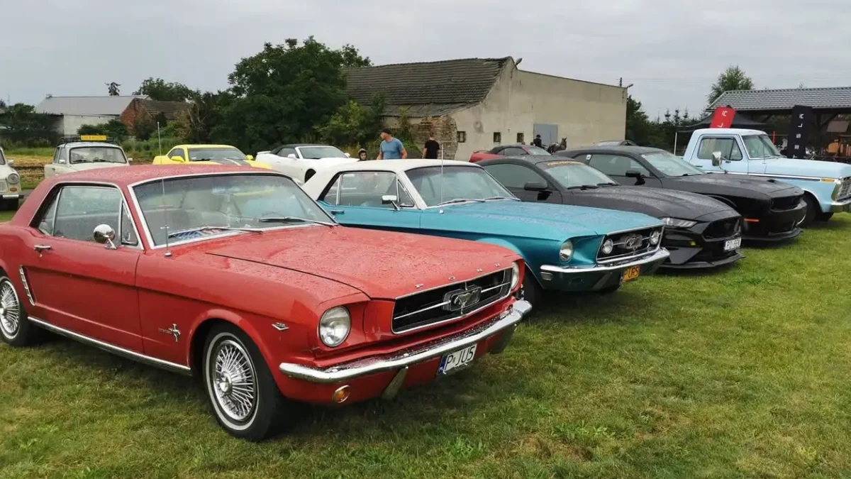 III Piknik Motoryzacyjny w Nieborzy: zabytkowe auta, Elvis i bachata