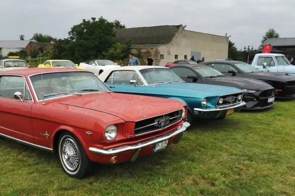 III Piknik Motoryzacyjny w Nieborzy: zabytkowe auta, Elvis i bachata